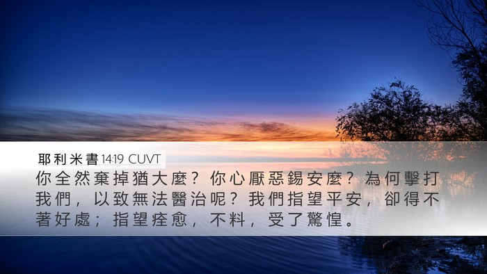 耶 利 米 書 14:19 CUVT Bible Verse Image