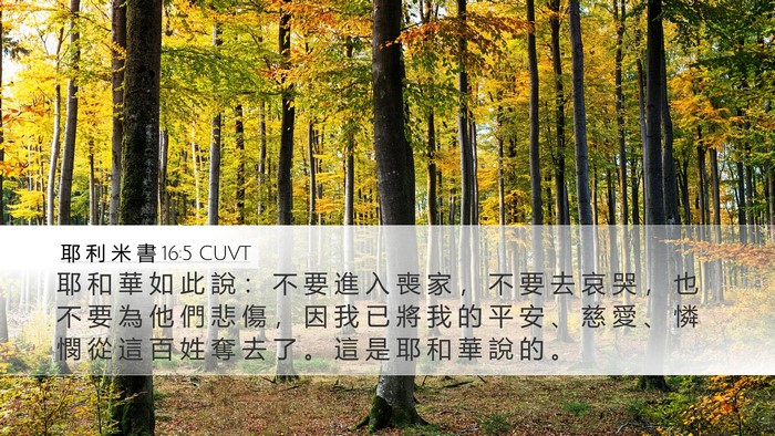 耶 利 米 書 16:5 CUVT Bible Verse Image