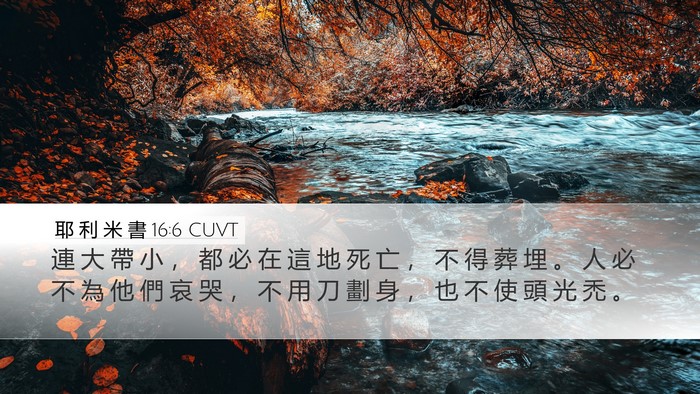 耶 利 米 書 16:6 CUVT Bible Verse Image