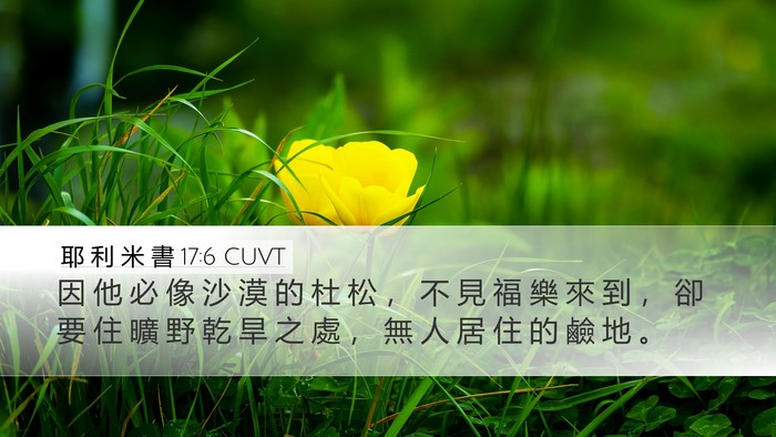 耶 利 米 書 17:6 CUVT Bible Verse Image