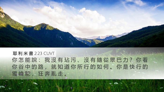耶 利 米 書 2:23 CUVT Bible Verse Image