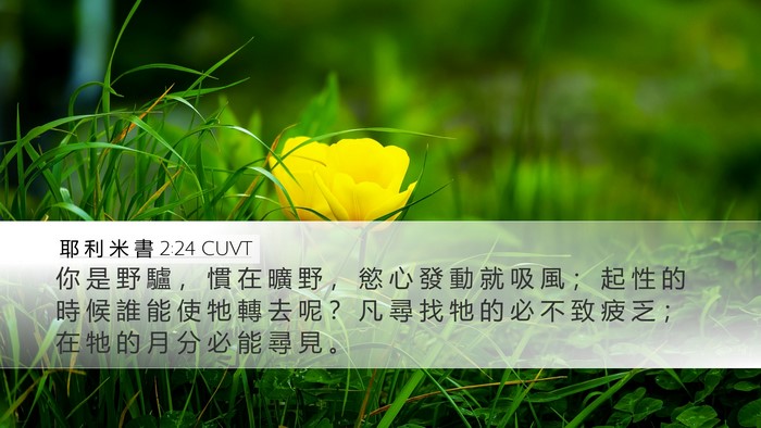 耶 利 米 書 2:24 CUVT Bible Verse Image