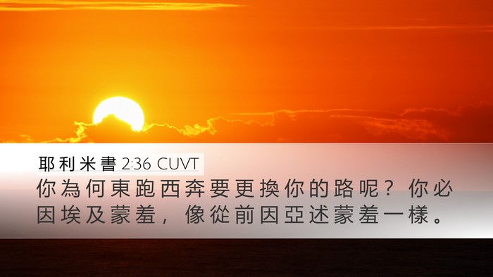 耶 利 米 書 2:36 CUVT Bible Verse Image
