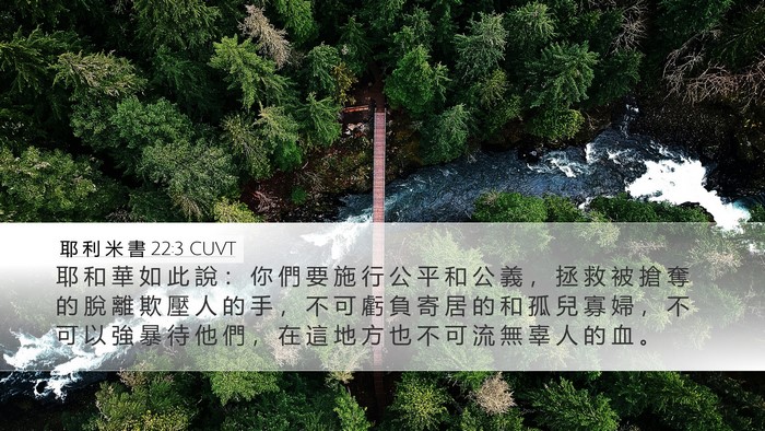 耶 利 米 書 22:3 CUVT Bible Verse Image