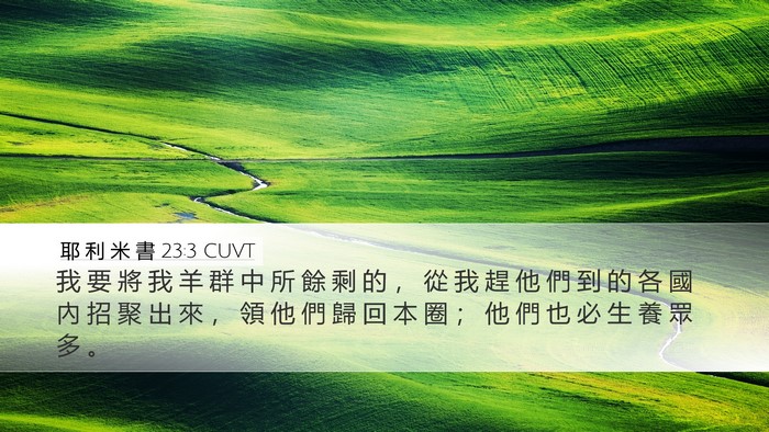 耶 利 米 書 23:3 CUVT Bible Verse Image