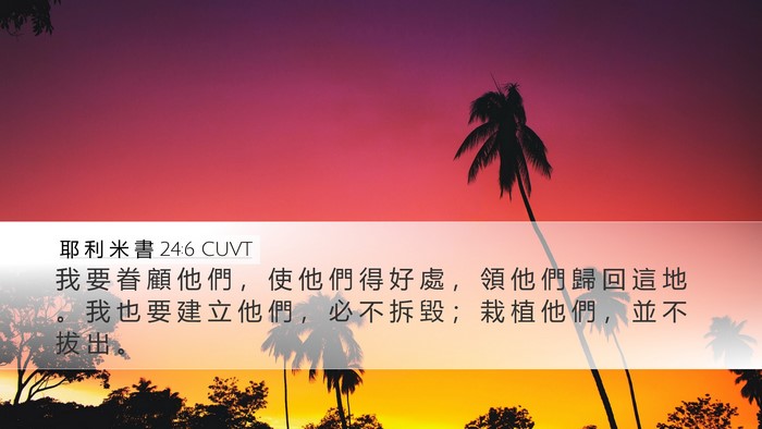 耶 利 米 書 24:6 CUVT Bible Verse Image