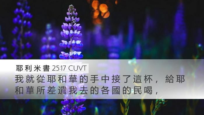 耶 利 米 書 25:17 CUVT Bible Verse Image