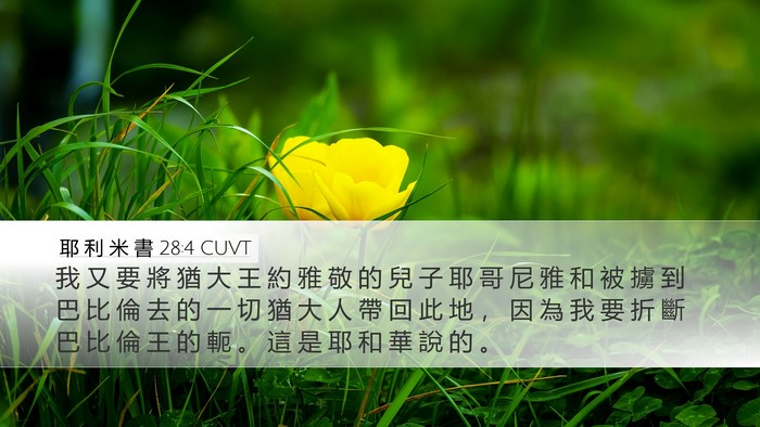 耶 利 米 書 28:4 CUVT Bible Verse Image