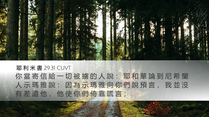 耶 利 米 書 29:31 CUVT Bible Verse Image