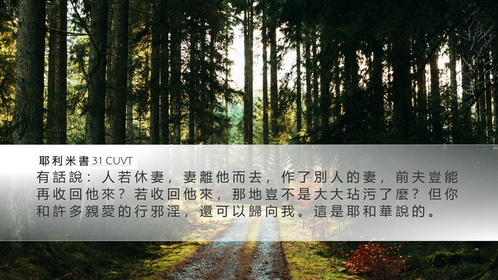耶 利 米 書 3:1 CUVT Bible Verse Image