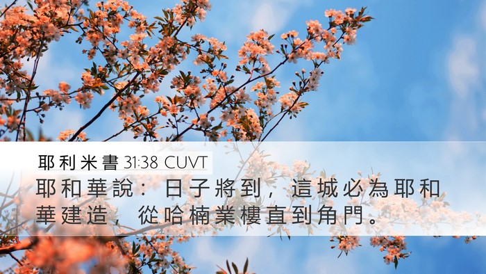 耶 利 米 書 31:38 CUVT Bible Verse Image