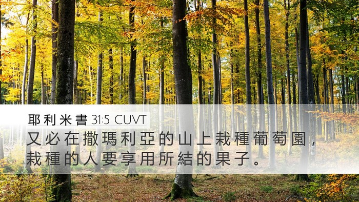 耶 利 米 書 31:5 CUVT Bible Verse Image