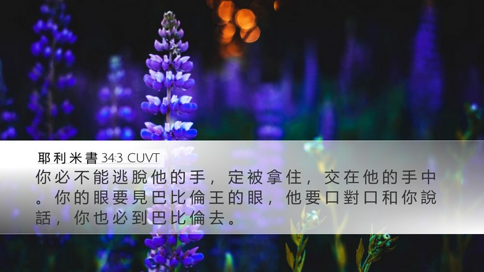 耶 利 米 書 34:3 CUVT Desktop Wallpaper - 你 必 不 能 逃 脫 他 的 手 ， 定 被 - Desktop Bible Verse Wallpaper