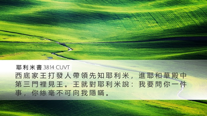 耶 利 米 書 38:14 CUVT Bible Verse Image