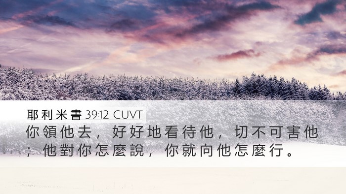 耶 利 米 書 39:12 CUVT Desktop Wallpaper - 你 領 他 去 ， 好 好 地 看 待 他 ， - Desktop Bible Verse Wallpaper