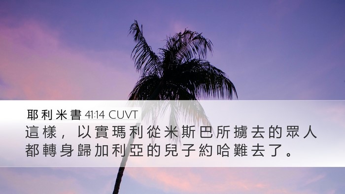 耶 利 米 書 41:14 CUVT Desktop Wallpaper - 這 樣 ， 以 實 瑪 利 從 米 斯 巴 所 - Desktop Bible Verse Wallpaper