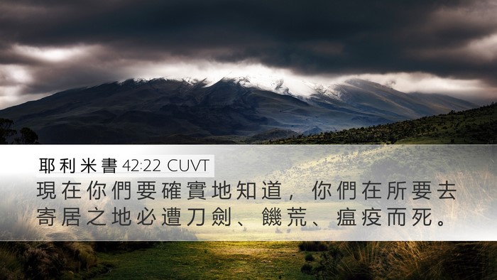 耶 利 米 書 42:22 CUVT Bible Verse Image