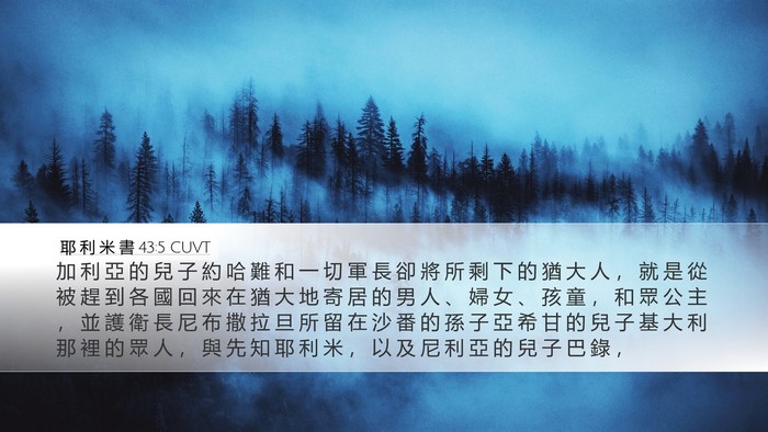 耶 利 米 書 43:5 CUVT Bible Verse Image