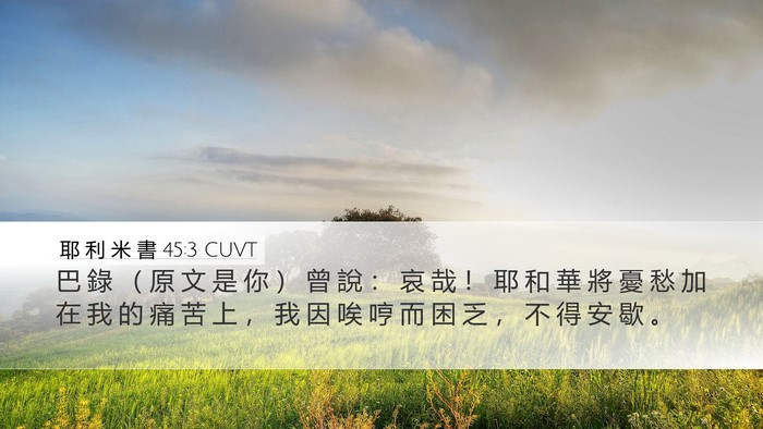 耶 利 米 書 45:3 CUVT Desktop Wallpaper - 巴 錄 （ 原 文 是 你 ） 曾 說 ： 哀 - Desktop Bible Verse Wallpaper