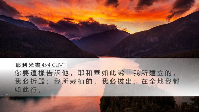 耶 利 米 書 45:4 CUVT Bible Verse Image