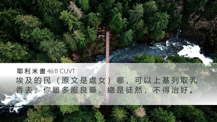 耶 利 米 書 46:11 CUVT Bible Verse Image