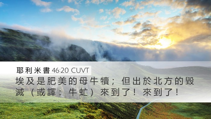 耶 利 米 書 46:20 CUVT Bible Verse Image