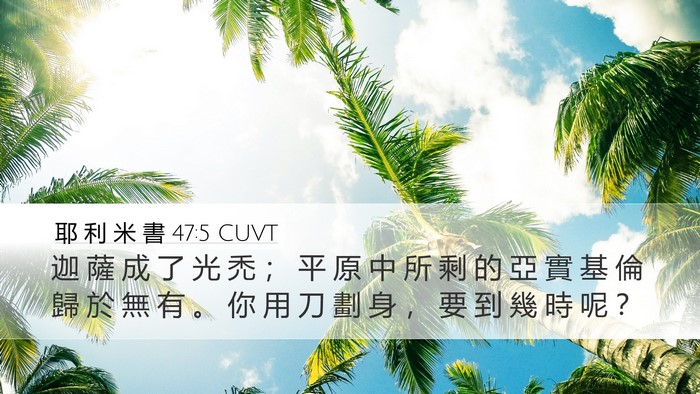 耶 利 米 書 47:5 CUVT Desktop Wallpaper - 迦 薩 成 了 光 禿 ； 平 原 中 所 剩 - Desktop Bible Verse Wallpaper