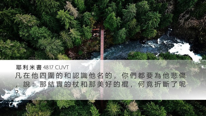 耶 利 米 書 48:17 CUVT Bible Verse Image