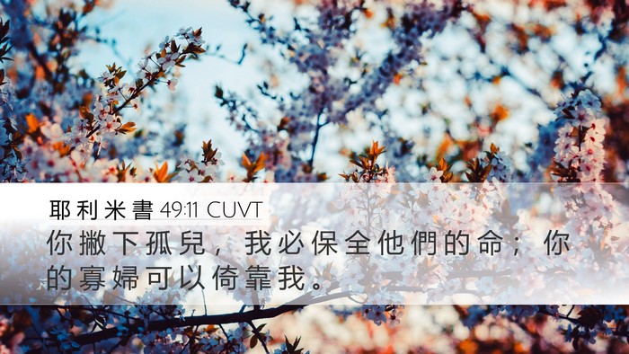 耶 利 米 書 49:11 CUVT Desktop Wallpaper - 你 撇 下 孤 兒 ， 我 必 保 全 他 們 - Desktop Bible Verse Wallpaper