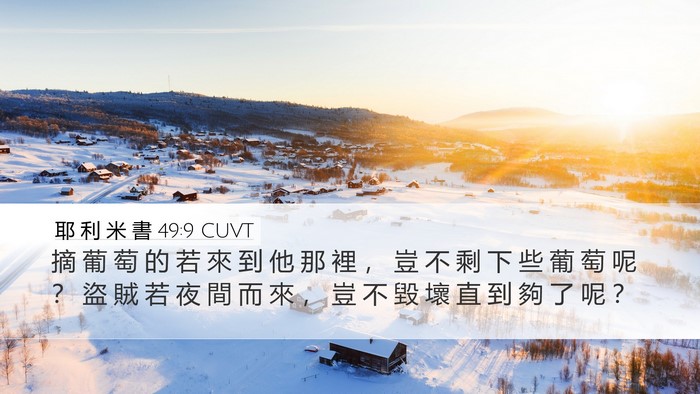 耶 利 米 書 49:9 CUVT Bible Verse Image