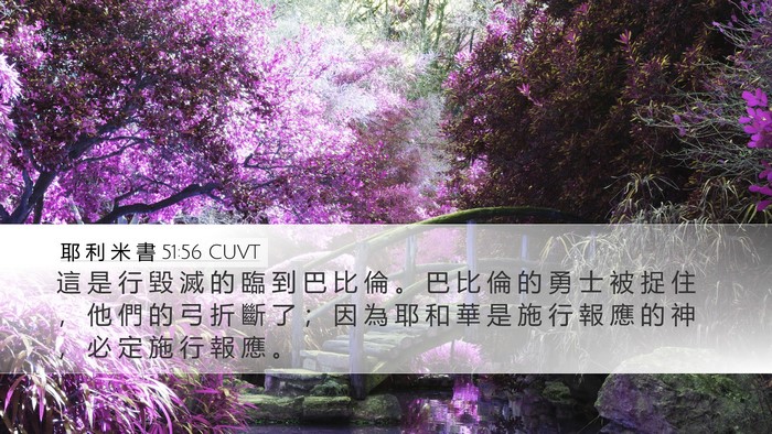 耶 利 米 書 51:56 CUVT Bible Verse Image