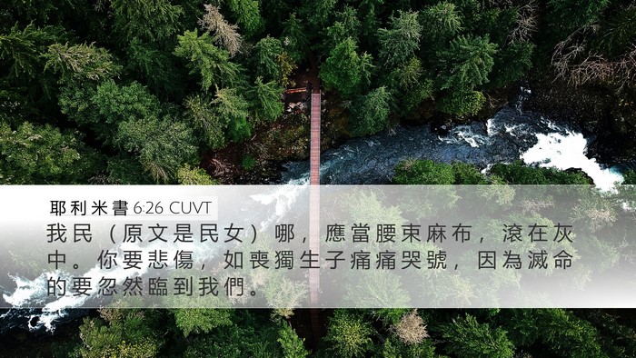耶 利 米 書 6:26 CUVT Desktop Wallpaper - 我 民 （ 原 文 是 民 女 ） 哪 ， 應 - Desktop Bible Verse Wallpaper