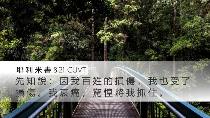 耶 利 米 書 8:21 CUVT Bible Verse Image