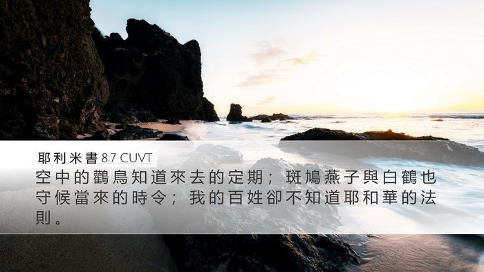 耶 利 米 書 8:7 CUVT Bible Verse Image