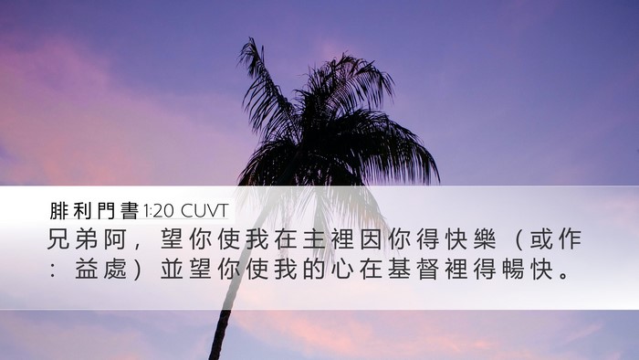 腓 利 門 書 1:20 CUVT Desktop Wallpaper - 兄 弟 阿 ， 望 你 使 我 在 主 裡 因 - Desktop Bible Verse Wallpaper