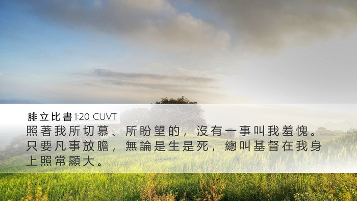 腓 立 比 書 1:20 CUVT Bible Verse Image