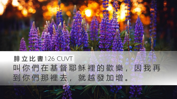 腓 立 比 書 1:26 CUVT Desktop Wallpaper - 叫 你 們 在 基 督 耶 穌 裡 的 歡 樂 - Desktop Bible Verse Wallpaper