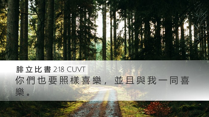 腓 立 比 書 2:18 CUVT Desktop Wallpaper - 你 們 也 要 照 樣 喜 樂 ， 並 且 與 - Desktop Bible Verse Wallpaper