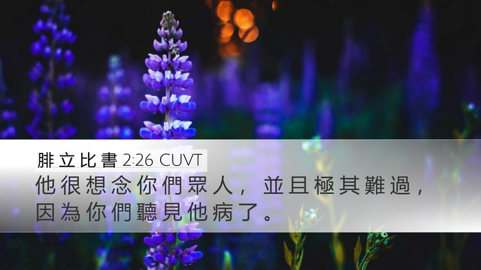 腓 立 比 書 2:26 CUVT Bible Verse Image