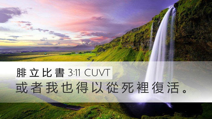 腓 立 比 書 3:11 CUVT Bible Verse Image