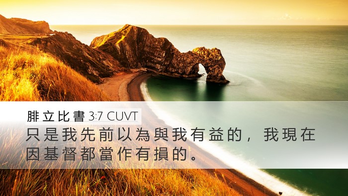 腓 立 比 書 3:7 CUVT Bible Verse Image