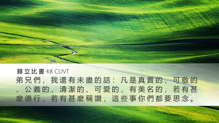 腓 立 比 書 4:8 CUVT Bible Verse Image