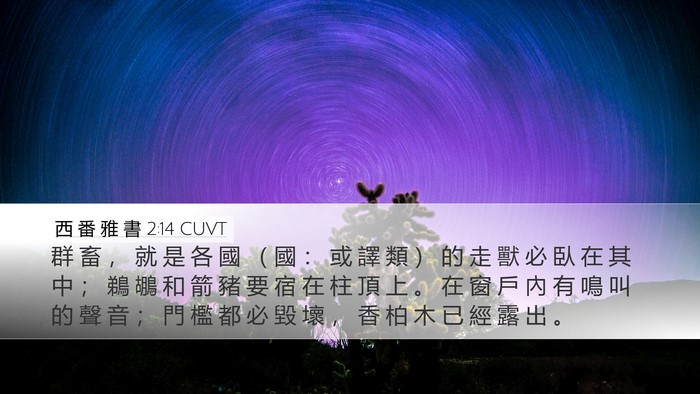 西 番 雅 書 2:14 CUVT Bible Verse Image