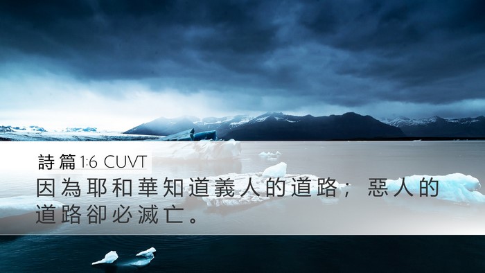 詩 篇 1:6 CUVT Bible Verse Image
