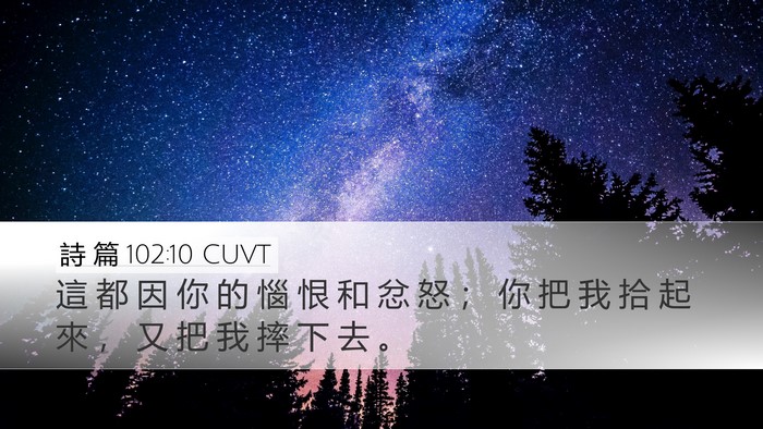 詩 篇 102:10 CUVT Bible Verse Image