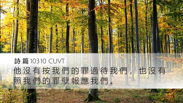 詩 篇 103:10 CUVT Bible Verse Image