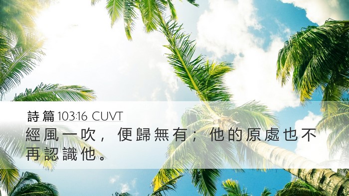 詩 篇 103:16 CUVT Bible Verse Image