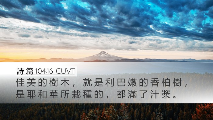 詩 篇 104:16 CUVT Desktop Wallpaper - 佳 美 的 樹 木 ， 就 是 利 巴 嫩 的 - Desktop Bible Verse Wallpaper