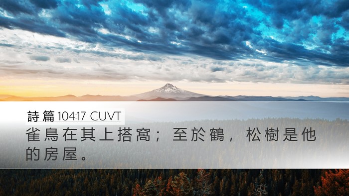 詩 篇 104:17 CUVT Desktop Wallpaper - 雀 鳥 在 其 上 搭 窩 ； 至 於 鶴 ， - Desktop Bible Verse Wallpaper