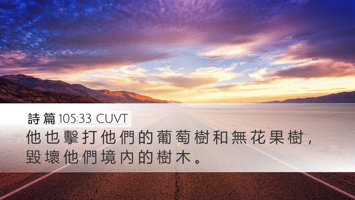 詩 篇 105:33 CUVT Desktop Wallpaper - 他 也 擊 打 他 們 的 葡 萄 樹 和 無 - Desktop Bible Verse Wallpaper